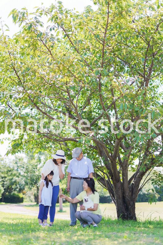 外で遊ぶ幸せな家族