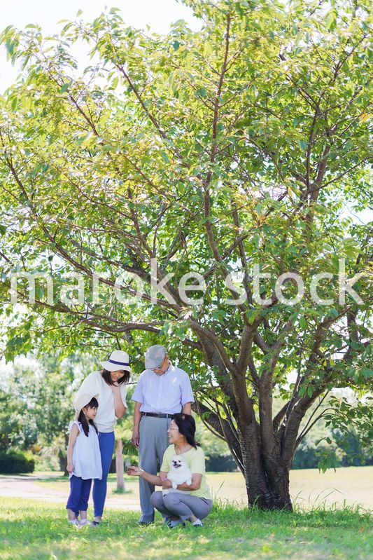 外で遊ぶ幸せな家族