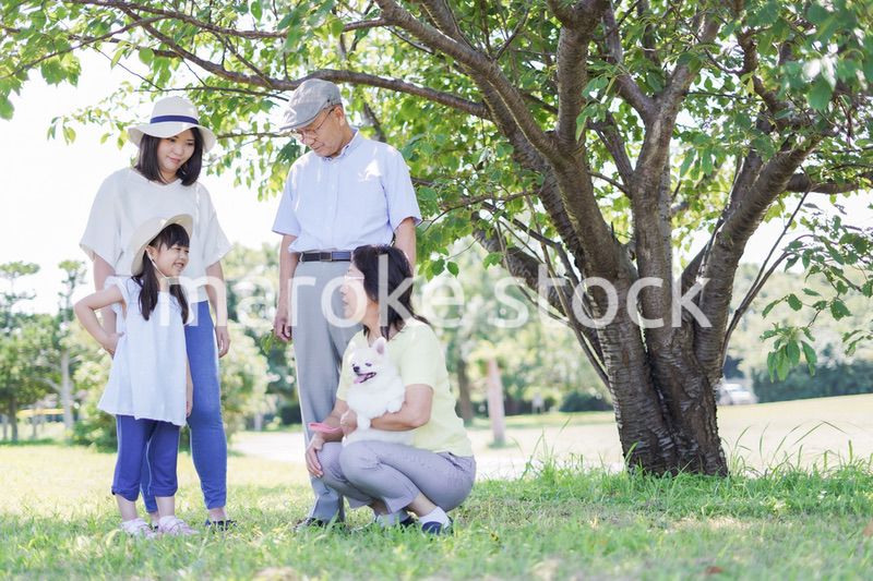 外で遊ぶ幸せな家族