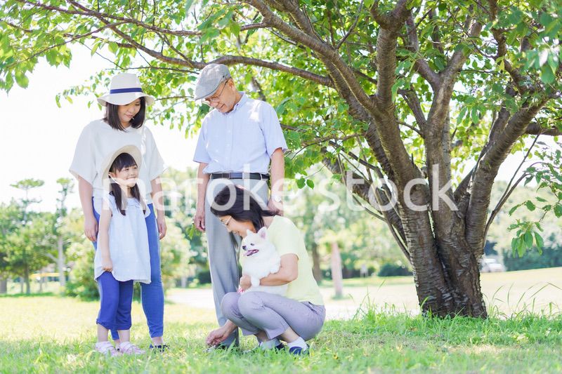 外で遊ぶ幸せな家族