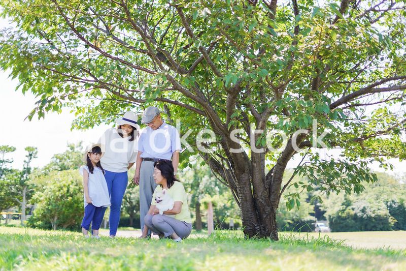外で遊ぶ幸せな家族