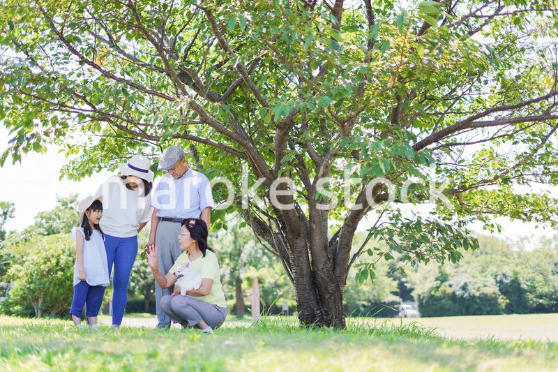 外で遊ぶ幸せな家族