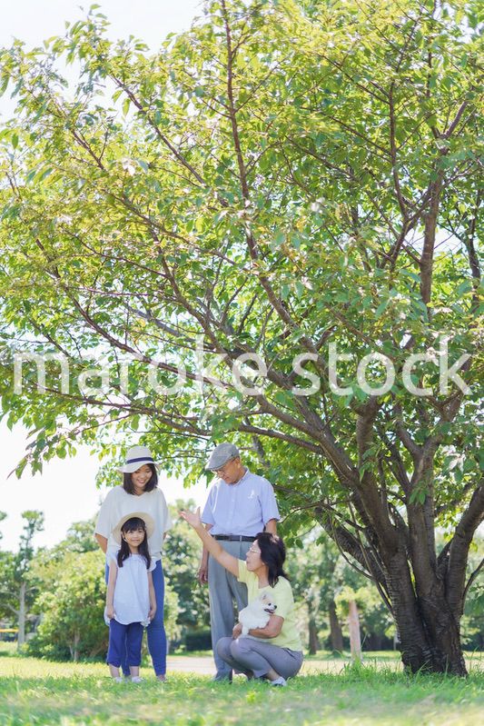 幸せなファミリー・家族イメージ