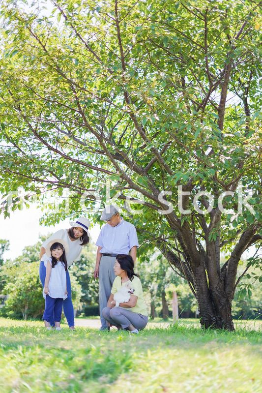 外で遊ぶ幸せな家族