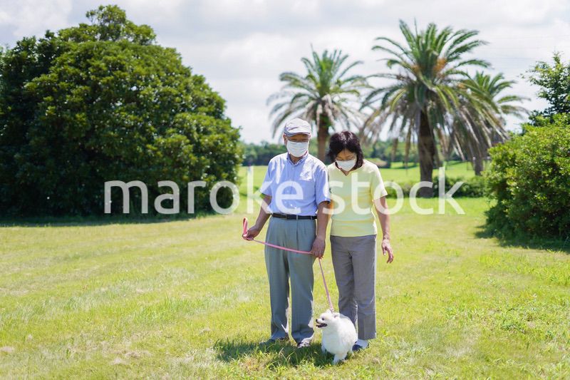 感染症に気を使いながら散歩をする高齢の夫婦