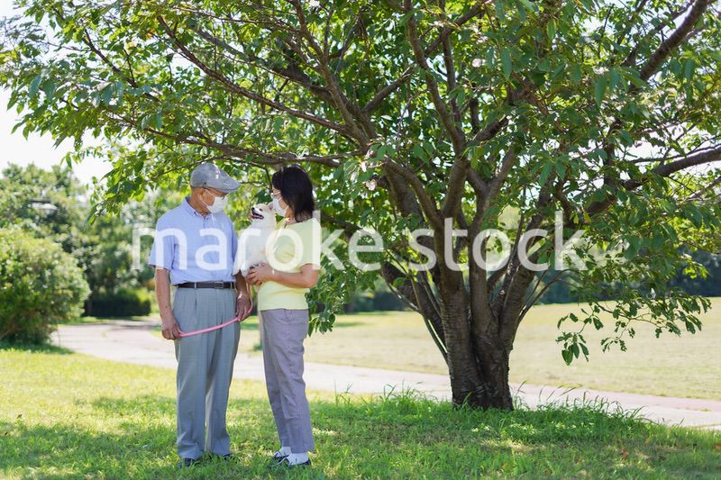 感染症に気を使いながら散歩をする高齢の夫婦