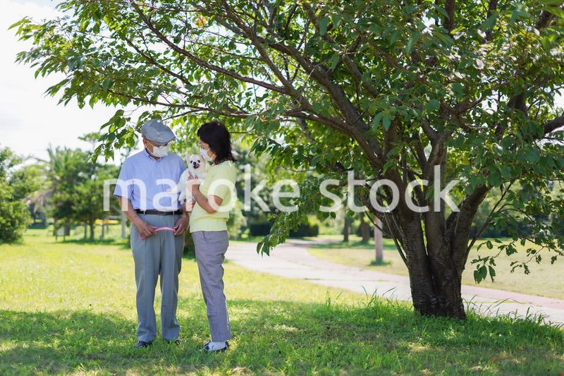 感染症に気を使いながら散歩をする高齢の夫婦