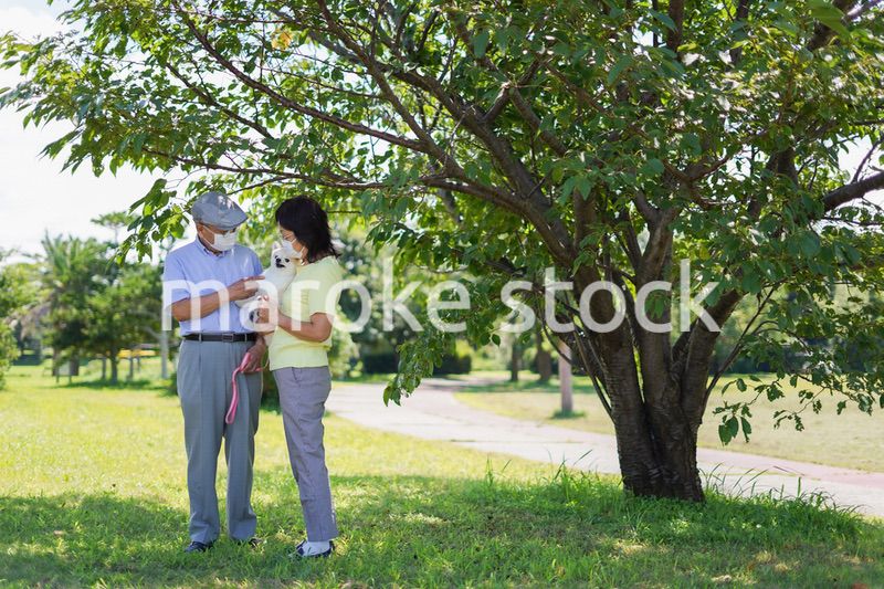 感染症に気を使いながら散歩をする高齢の夫婦