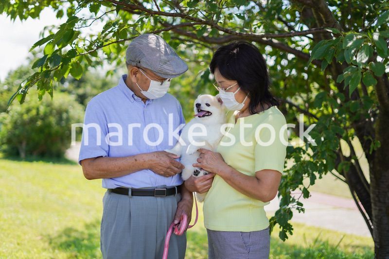 感染症に気を使いながら散歩をする高齢の夫婦