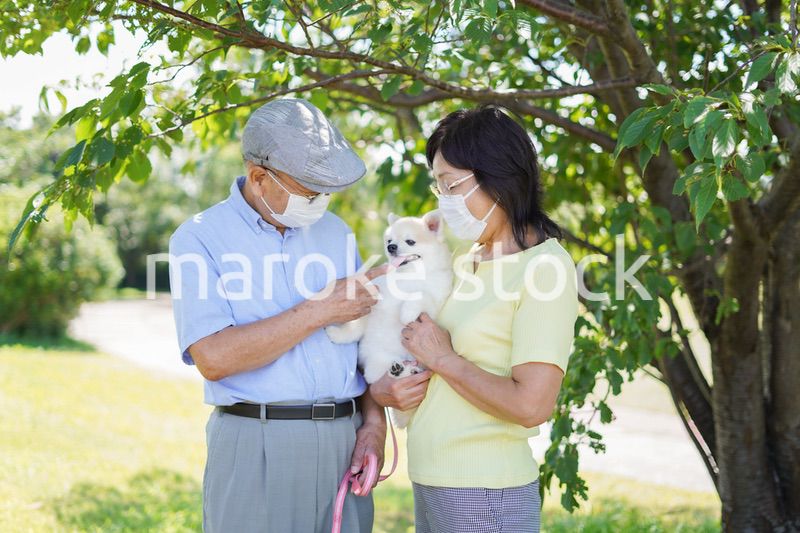 感染症に気を使いながら散歩をする高齢の夫婦