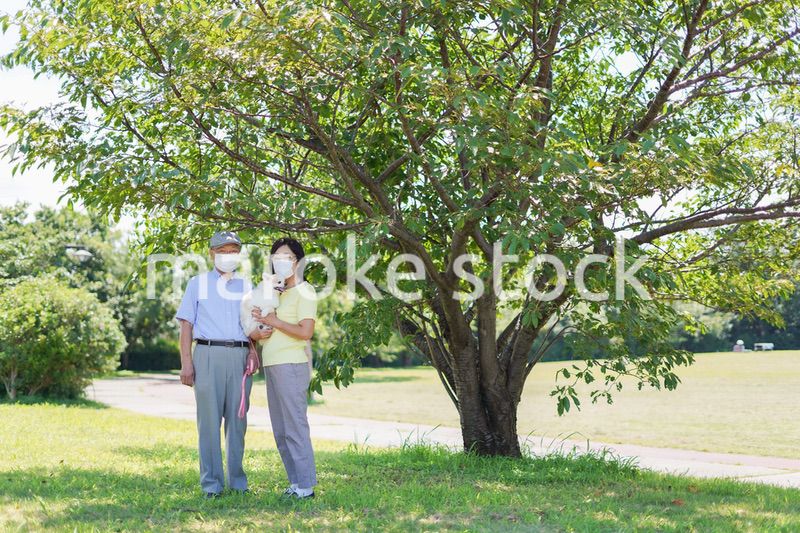 感染症に気を使いながら散歩をする高齢の夫婦