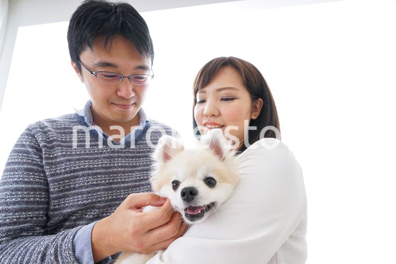 犬を飼う夫婦・カップル