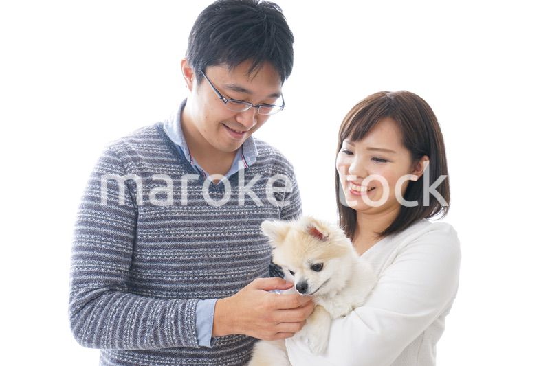 犬を飼う夫婦・カップル