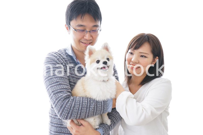 犬を飼う夫婦・カップル
