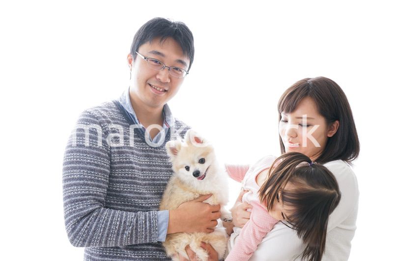 犬を飼う家族