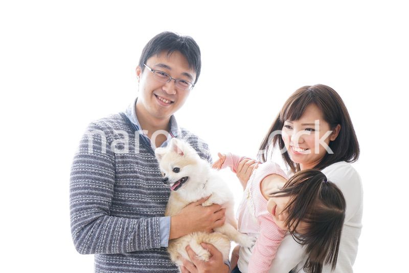 犬を飼う家族