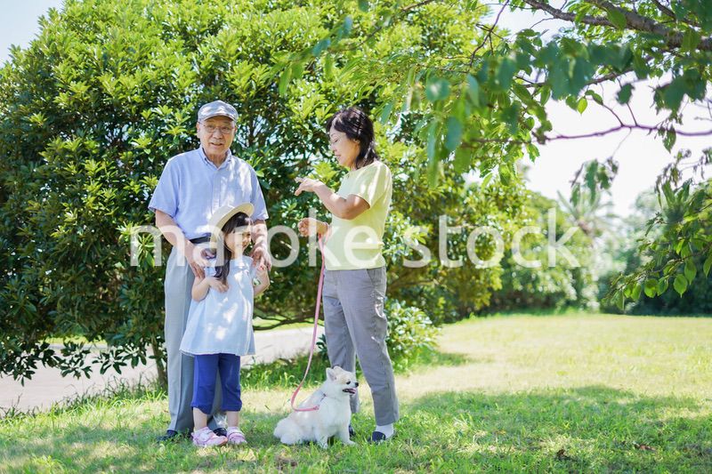 祖父母と外で遊ぶ小さな女の子