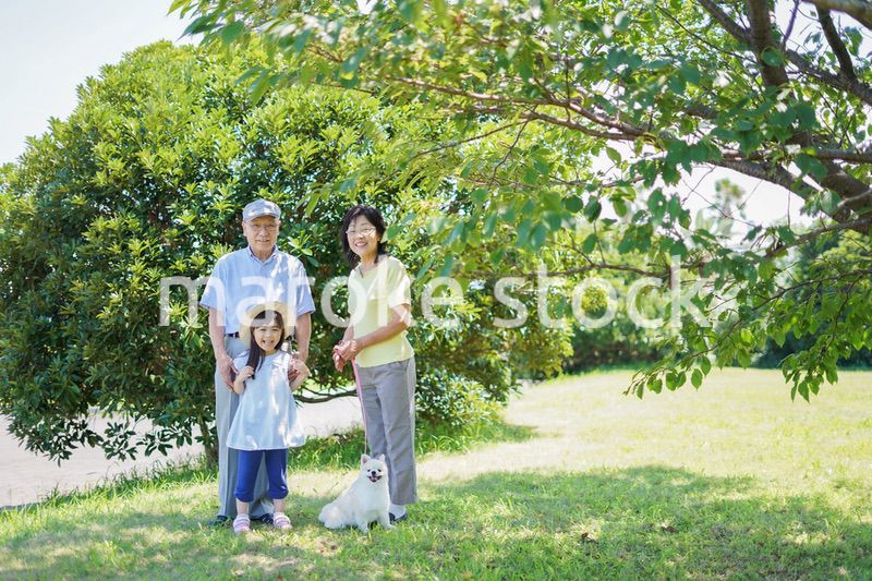 祖父母と外で遊ぶ小さな女の子