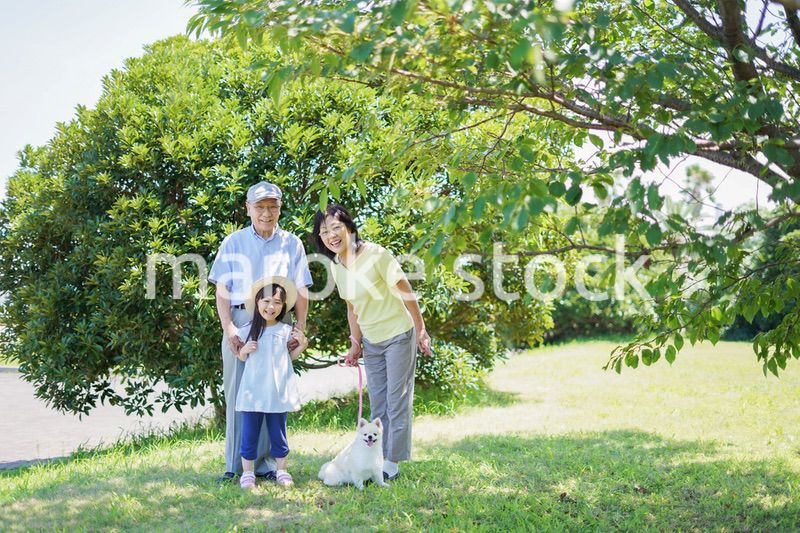 祖父母と外で遊ぶ小さな女の子