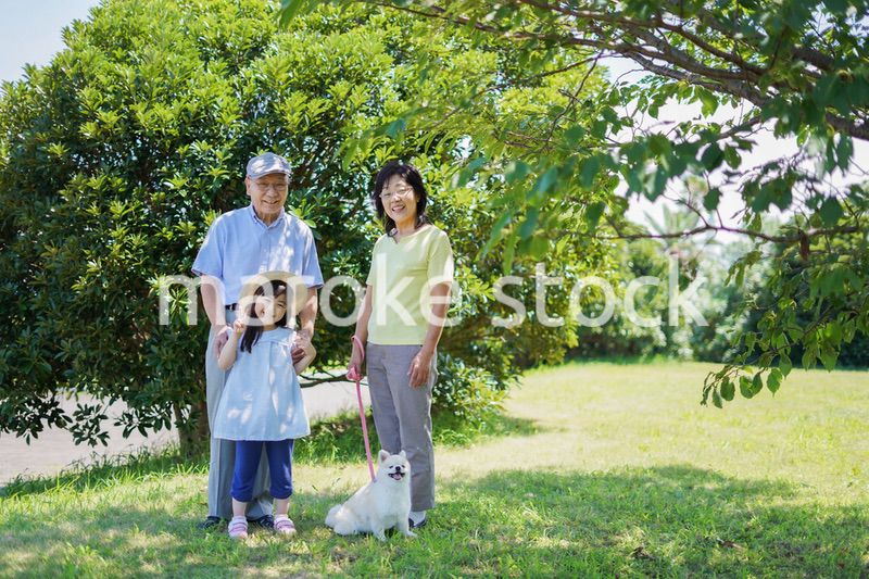 祖父母と外で遊ぶ小さな女の子
