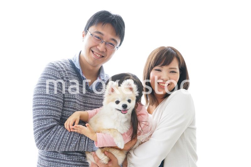 犬を飼う幸せなファミリー