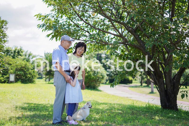 祖父母と外で遊ぶ小さな女の子