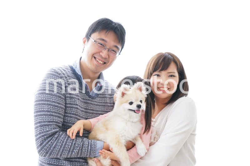 犬を飼う家族