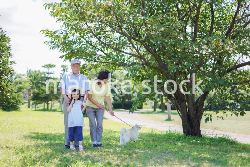 祖父母と外で遊ぶ小さな女の子