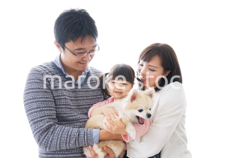 犬を飼う家族