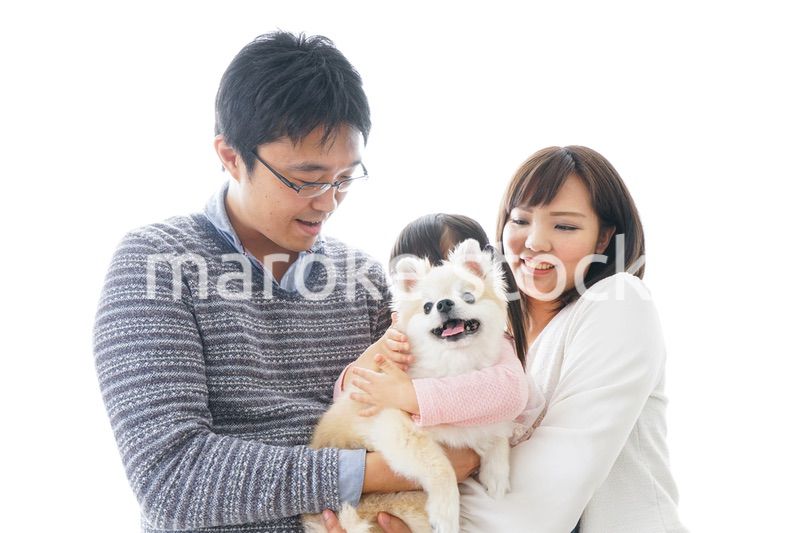 犬を飼う幸せなファミリー