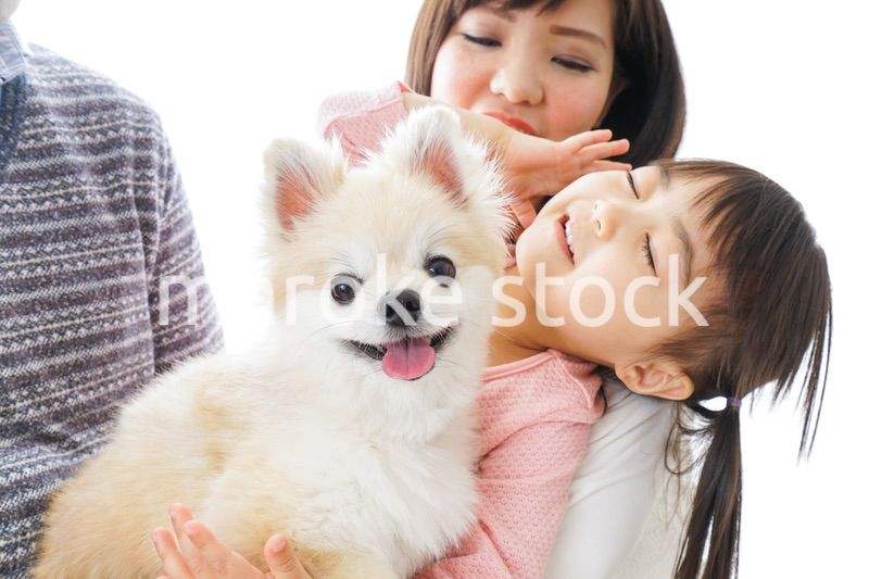 犬を飼う幸せなファミリー