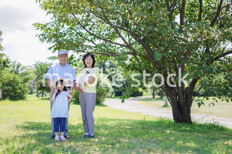祖父母と外で遊ぶ小さな女の子