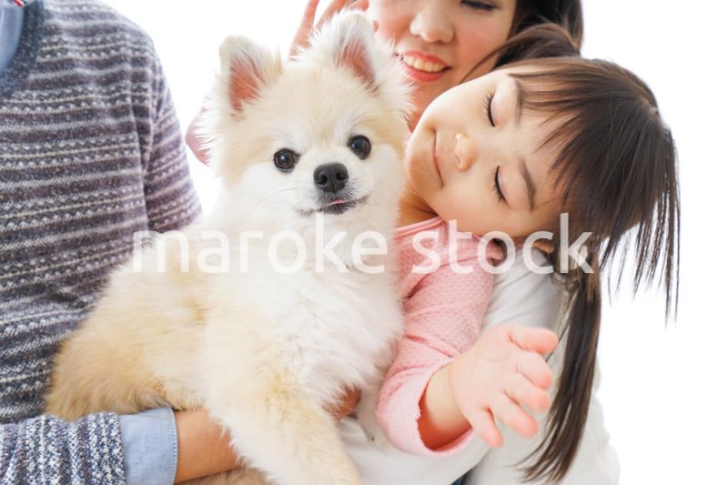 犬を飼う幸せなファミリー