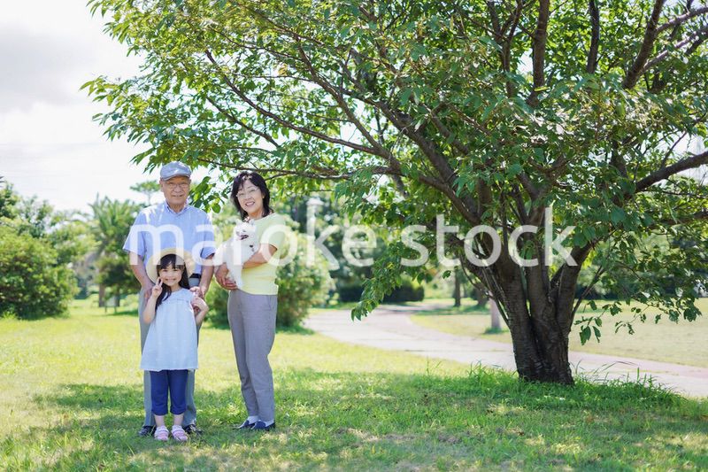 祖父母と外で遊ぶ小さな女の子