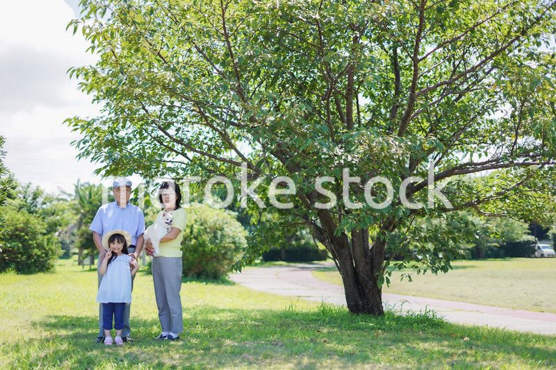 祖父母と外で遊ぶ小さな女の子