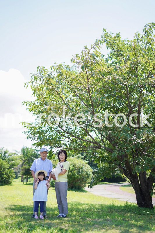 祖父母と外で遊ぶ小さな女の子
