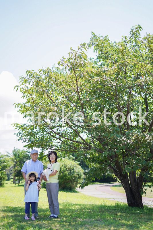 祖父母と外で遊ぶ小さな女の子