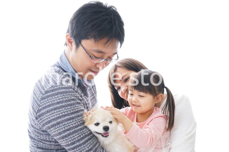 犬を飼う家族
