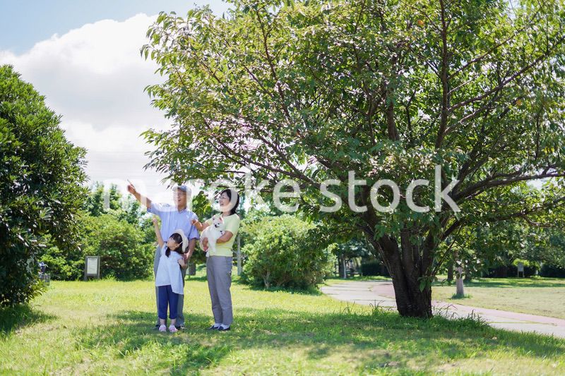 祖父母と外で遊ぶ小さな女の子