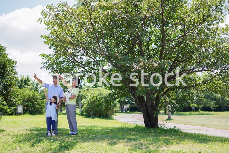 祖父母と外で遊ぶ小さな女の子