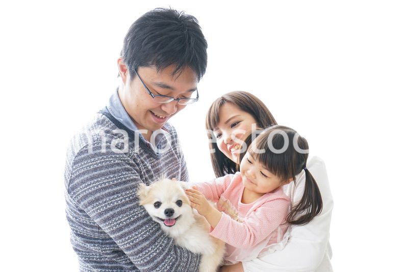 犬を飼う幸せなファミリー