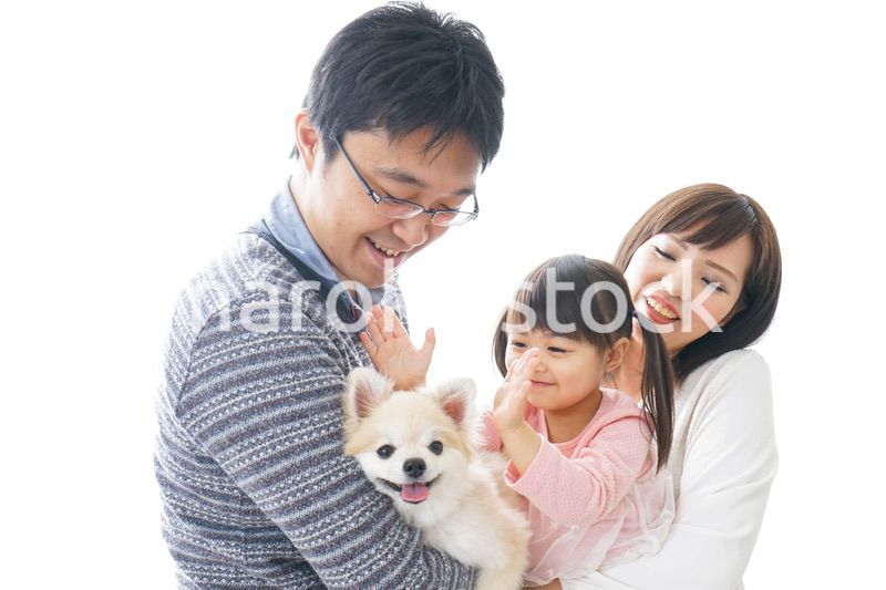 犬を飼う幸せなファミリー