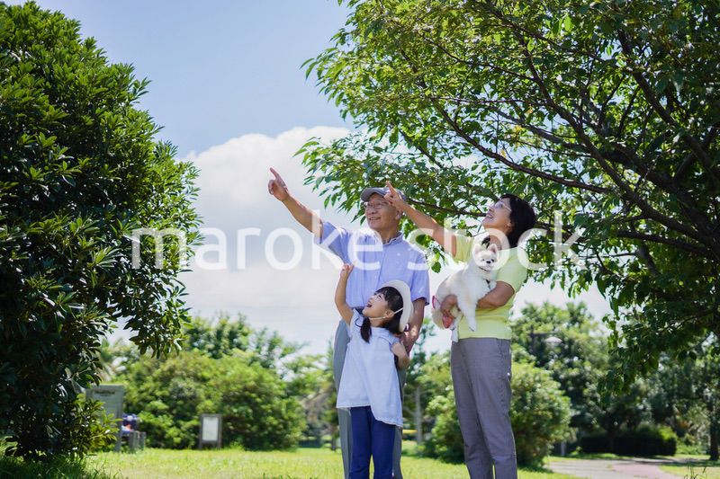祖父母と外で遊ぶ小さな女の子