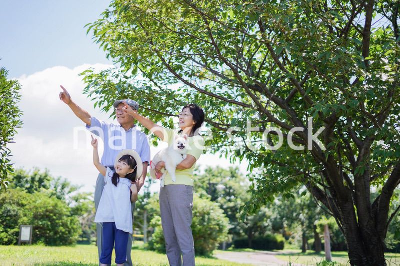 祖父母と外で遊ぶ小さな女の子