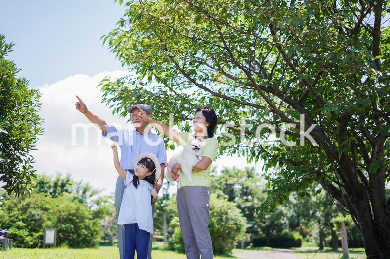 祖父母と外で遊ぶ小さな女の子