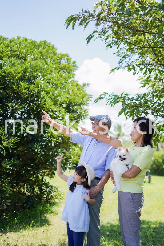 祖父母と外で遊ぶ小さな女の子
