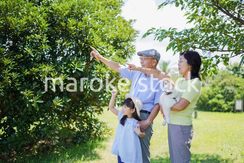 祖父母と外で遊ぶ小さな女の子