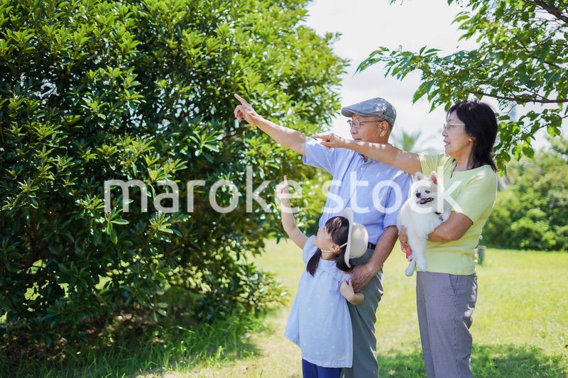 祖父母と外で遊ぶ小さな女の子