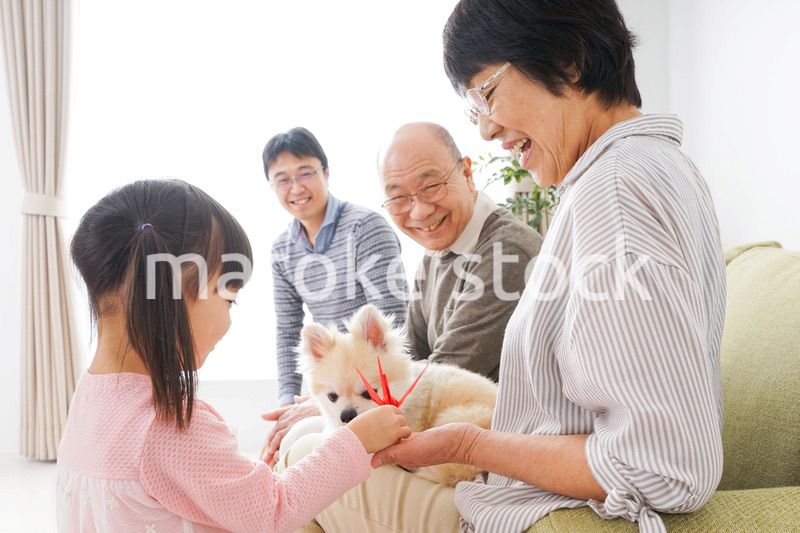 故郷に帰省する子供