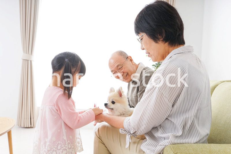 故郷に帰省する子供